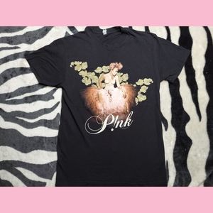 Pink p!nk the truth about love tour 2013